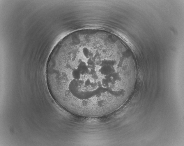 X0000115391283200911171448