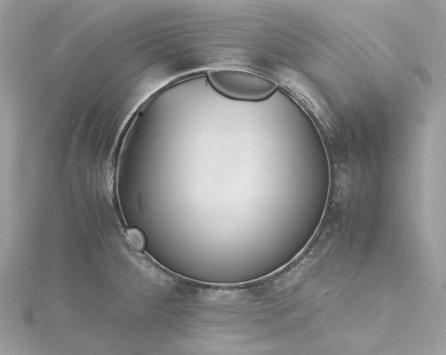 X0000115391284200911171448