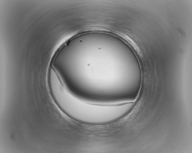 X0000115391285200911171448