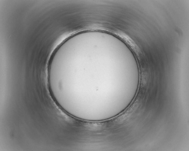 X0000115391286200911171448