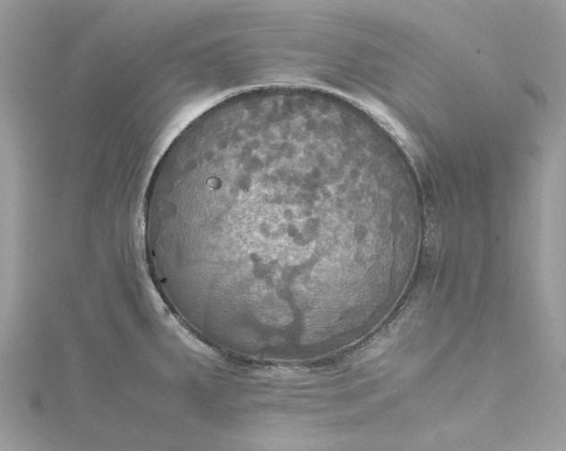 X0000115391287200911171448