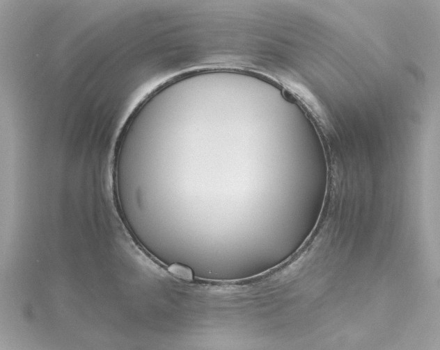 X0000115391288200911171448