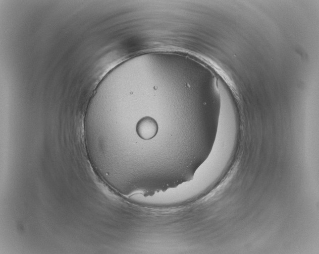 X0000115391289200911171448