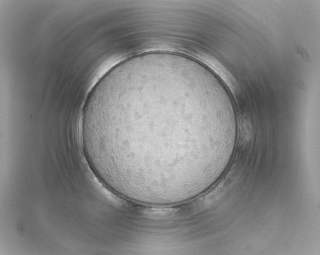 X0000115391290200911171448