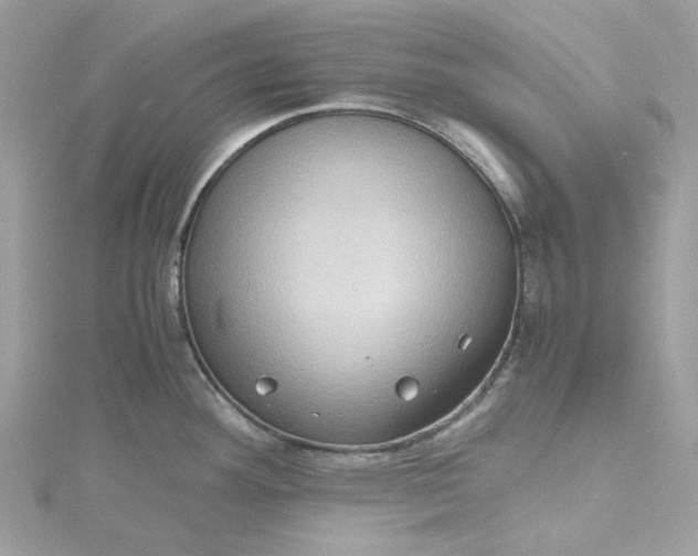 X0000115391292200911171448