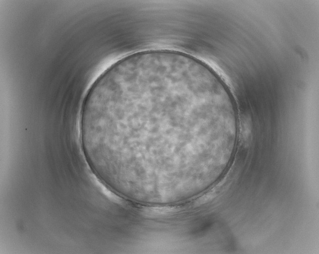 X0000115391294200911171448