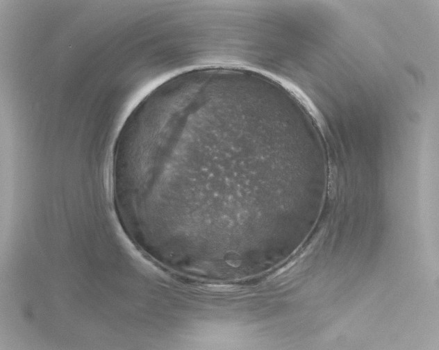 X0000115391295200911171448