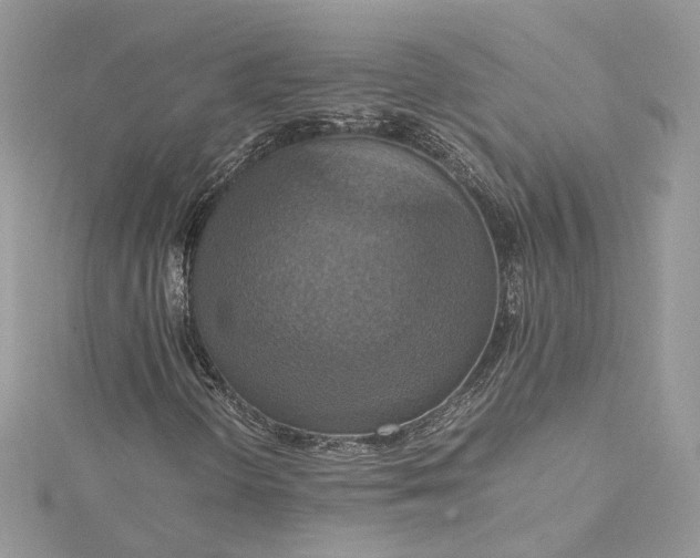 X0000115391298200911171448