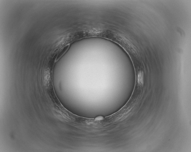 X0000115391299200911171448