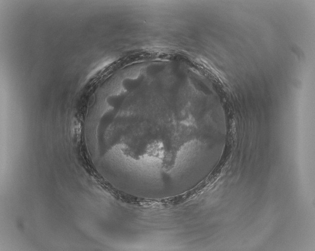 X0000115391302200911171448