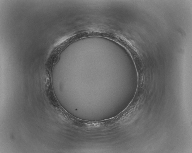 X0000115391303200911171448