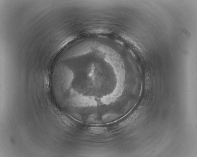 X0000115391305200911171448