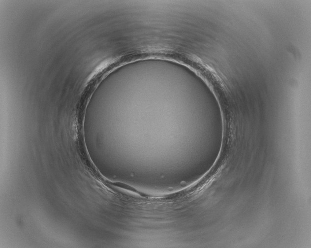 X0000115391306200911171448