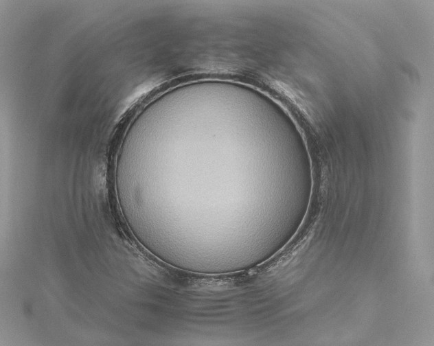 X0000115391307200911171448