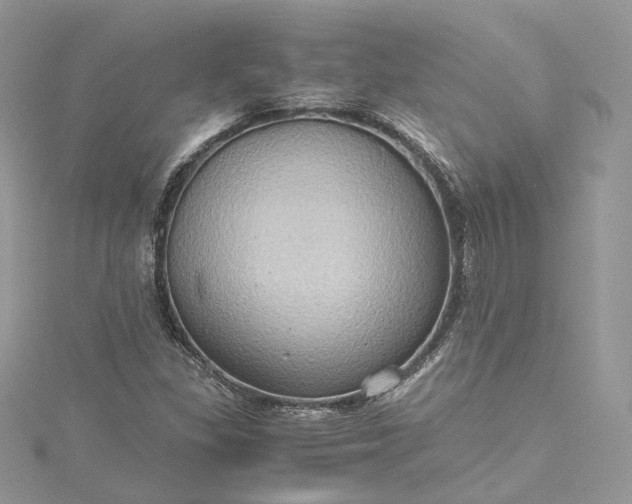 X0000115391309200911171448