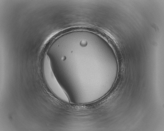 X0000115391310200911171448