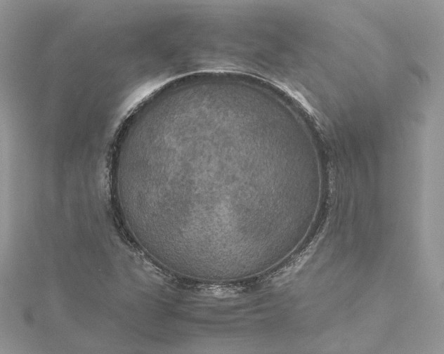 X0000115391311200911171448