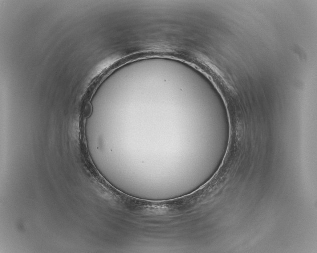 X0000115391315200911171448