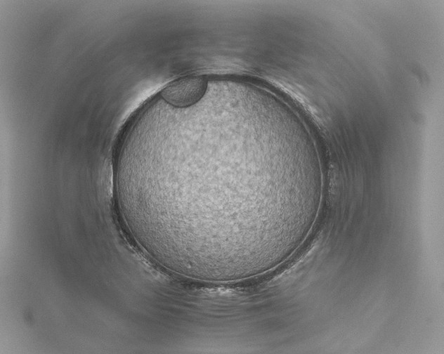 X0000115391317200911171448