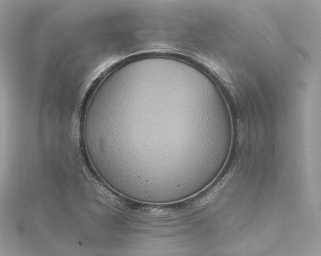 X0000115391318200911171448