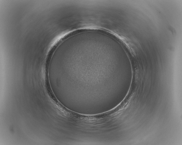 X0000115391319200911171448