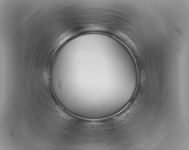 X0000115391321200911171448