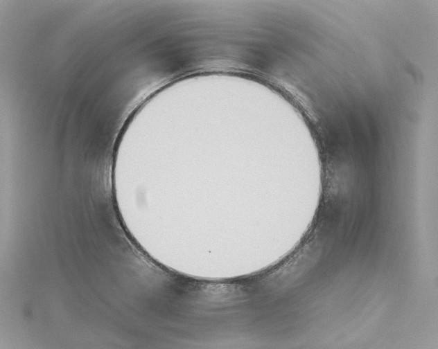 X0000115391322200911171448