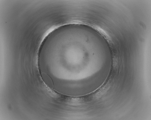 X0000115391326200911171448