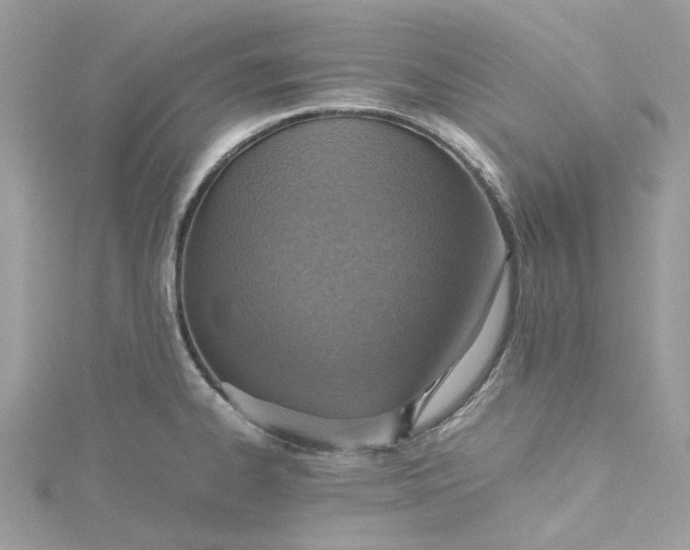 X0000115391334200911171448