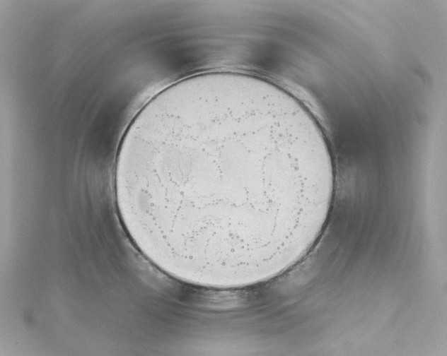 X0000115391338200911171448