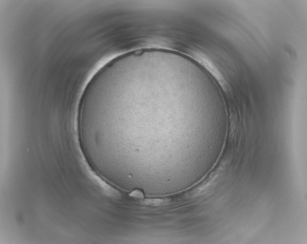 X0000115391339200911171448