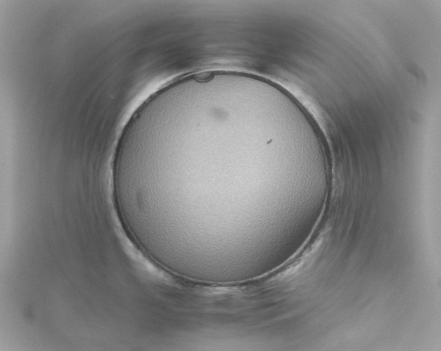 X0000115391341200911171448