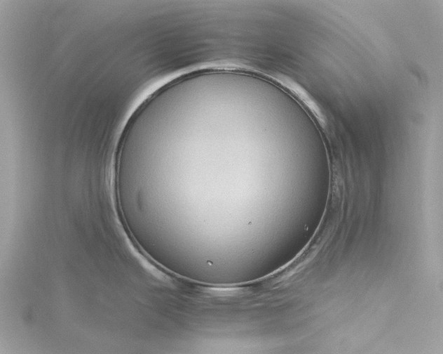 X0000115391343200911171448