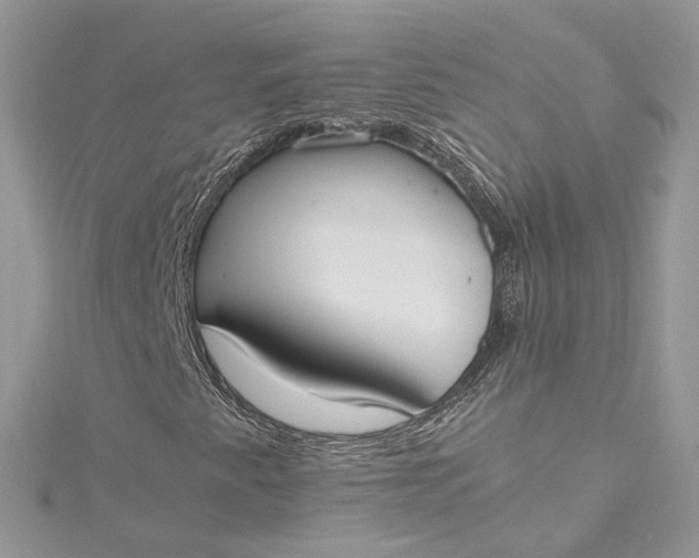 X0000115391345200911171448