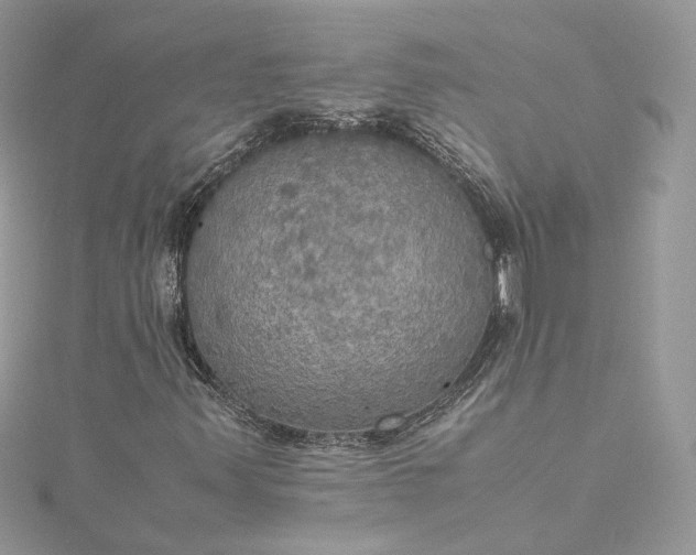 X0000115391347200911171447