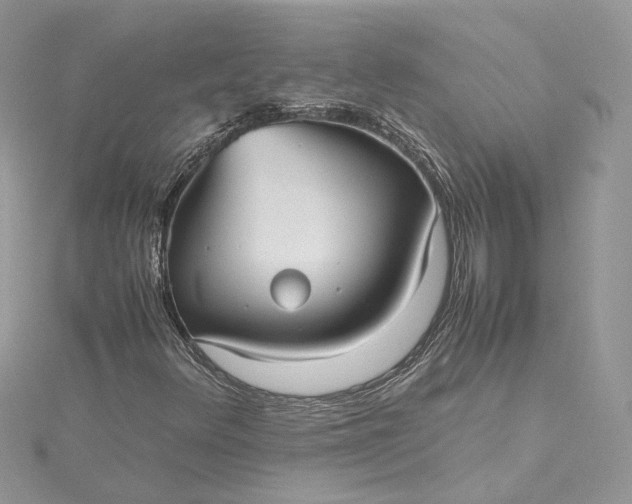 X0000115391348200911171447