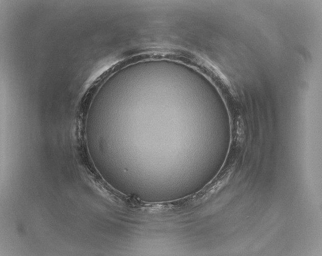 X0000115391352200911171447