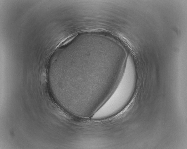 X0000115391353200911171447