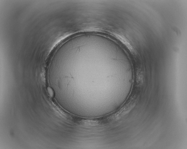 X0000115391356200911171447