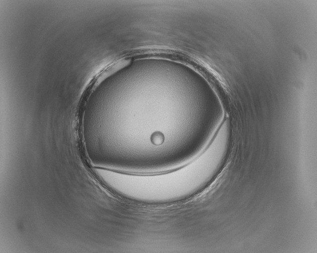 X0000115391357200911171447