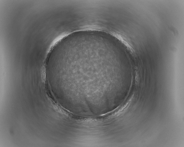 X0000115391358200911171447