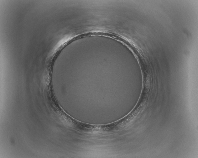 X0000115391359200911171447