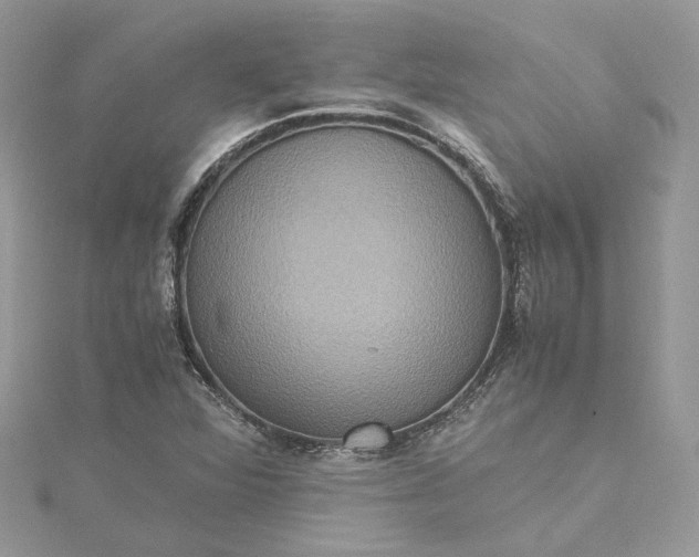 X0000115391360200911171447