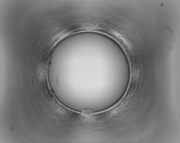 X0000115391361200911171447