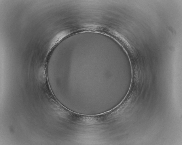 X0000115391362200911171447