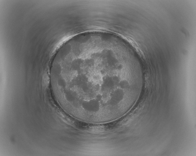 X0000115391363200911171447