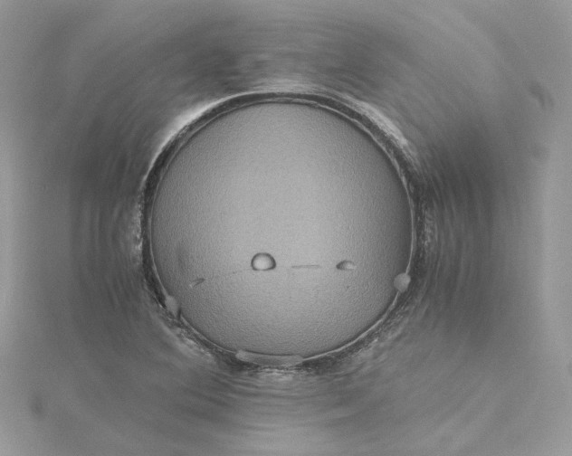 X0000115391364200911171447