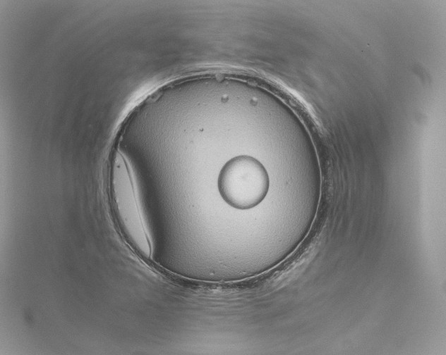 X0000115391365200911171447