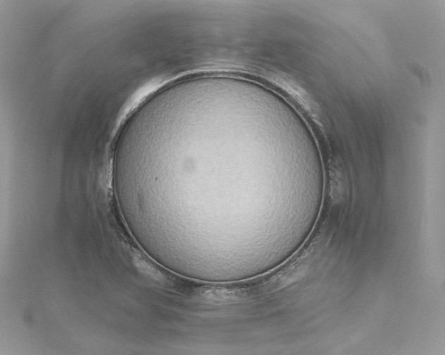 X0000115391366200911171447