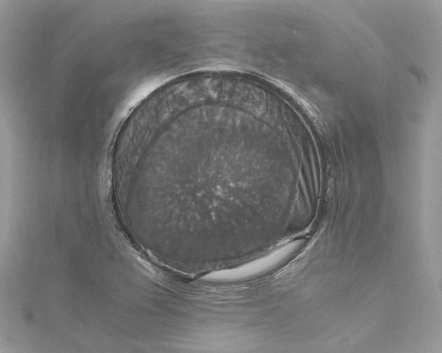 X0000115391367200911171447